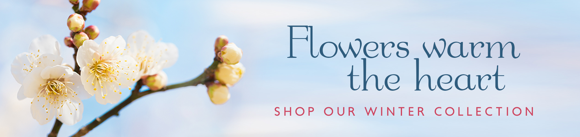 1900x450-Winter2022-1